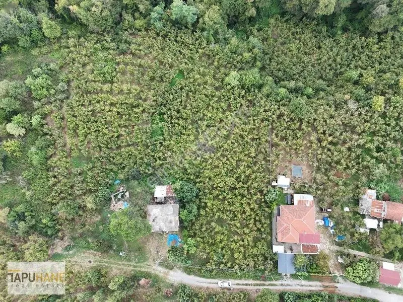Prim Yapacak Bölgede Satılık 2247 M2 Villa Arsası — fotoğraf 5