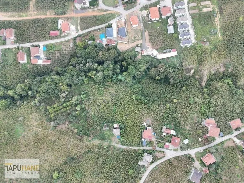 Prim Yapacak Bölgede Satılık 2247 M2 Villa Arsası — fotoğraf 15