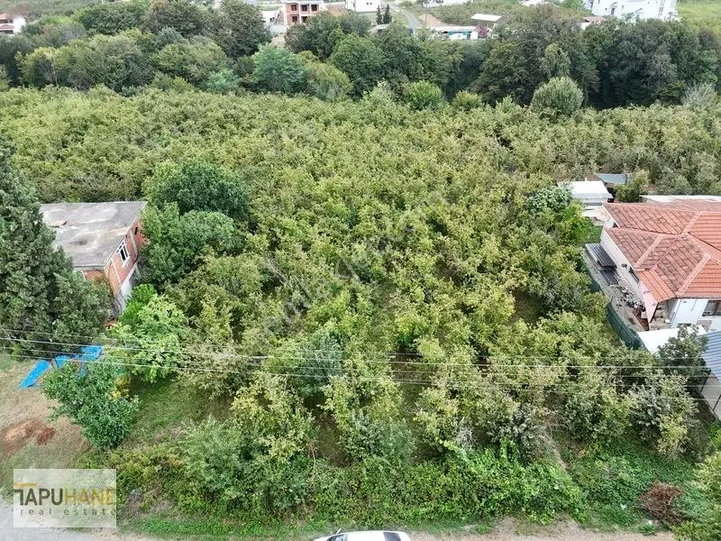 Prim Yapacak Bölgede Satılık 2247 M2 Villa Arsası — fotoğraf 21