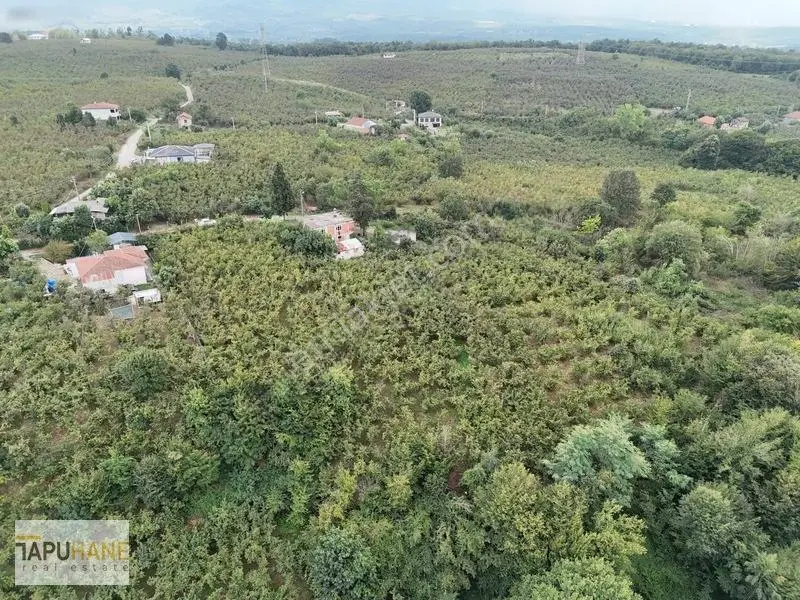 Prim Yapacak Bölgede Satılık 2247 M2 Villa Arsası — fotoğraf 23