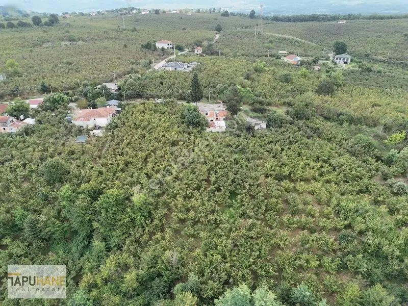 Prim Yapacak Bölgede Satılık 2247 M2 Villa Arsası — fotoğraf 24