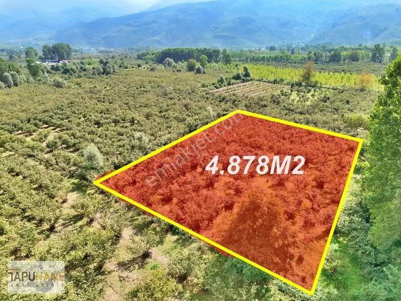 Sakarya/hendek Çamlıca'da Satılık 4.878m2 Fındıklık