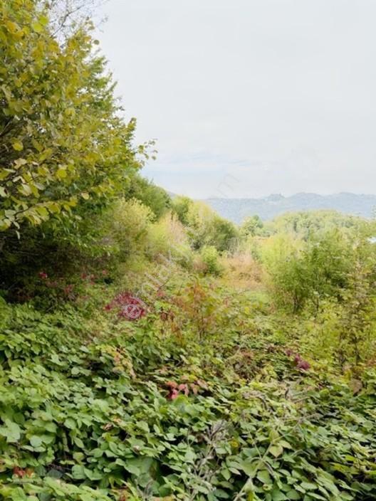 Kw Arven Kocaelinin Gözde Bölgesinde Ana Yol Kenarı Satılık Arsa — fotoğraf 2