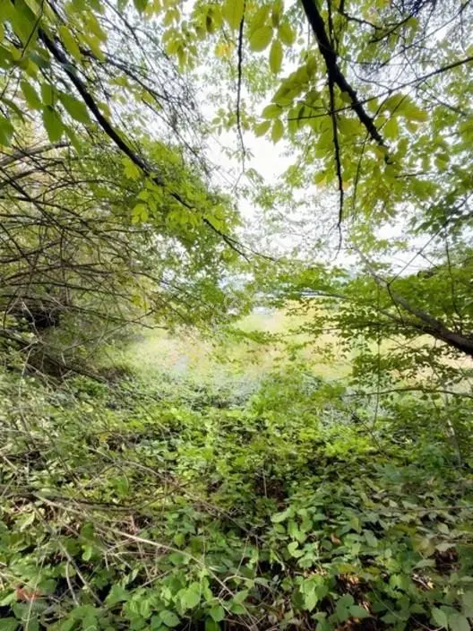 Kw Arven Kocaelinin Gözde Bölgesinde Ana Yol Kenarı Satılık Arsa — fotoğraf 7