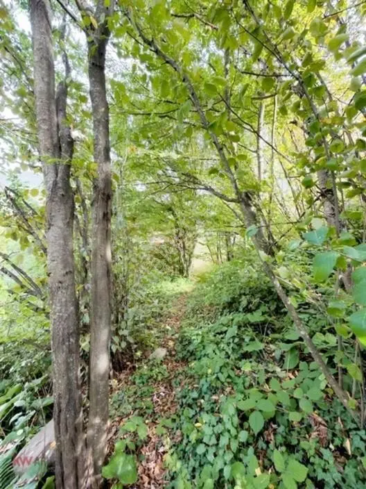 Kw Arven Kocaelinin Gözde Bölgesinde Ana Yol Kenarı Satılık Arsa — fotoğraf 8