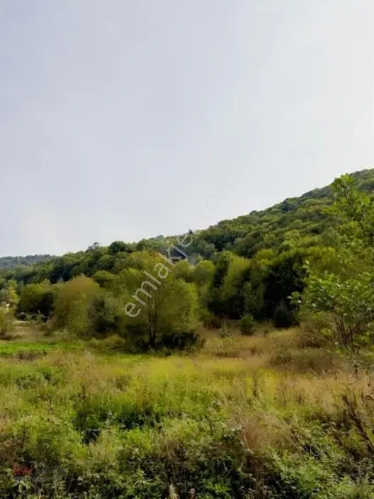 Kw Arven Kocaelinin Gözde Bölgesinde Ana Yol Kenarı Satılık Arsa — fotoğraf 12