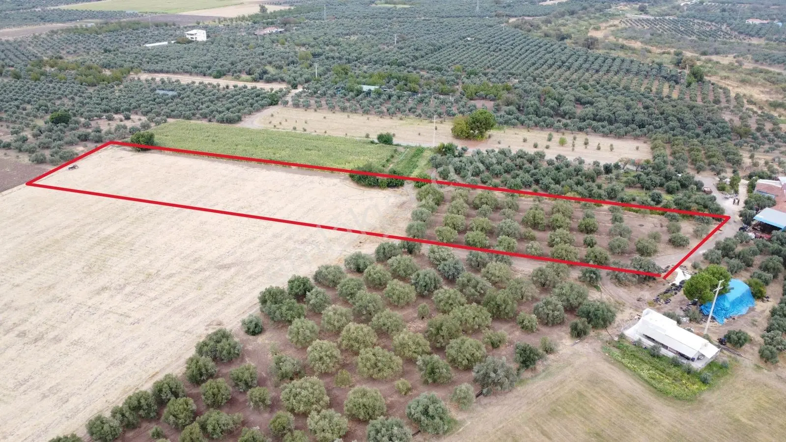 Akhisar Bekirler Mah.9490 M2 Satılık Tarla — fotoğraf 2