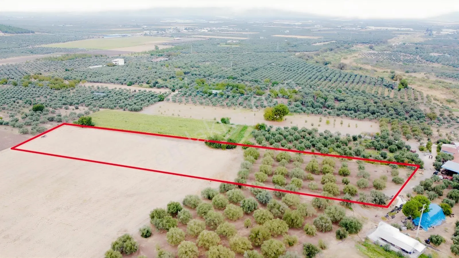 Akhisar Bekirler Mah.9490 M2 Satılık Tarla — fotoğraf 3