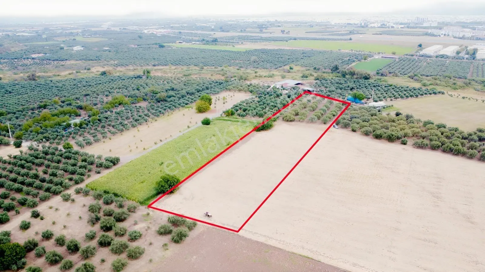 Akhisar Bekirler Mah.9490 M2 Satılık Tarla — fotoğraf 5