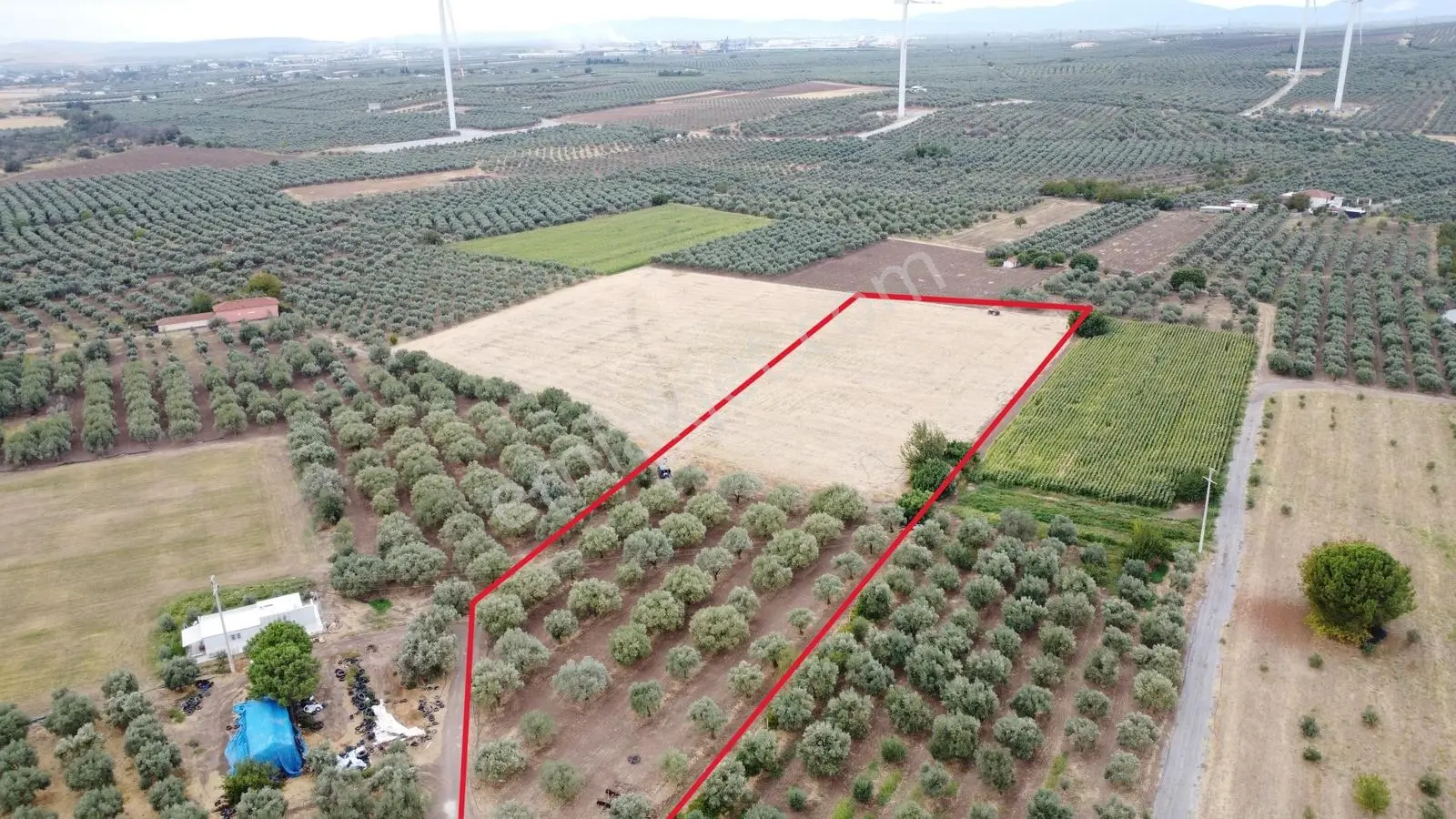 Akhisar Bekirler Mah.9490 M2 Satılık Tarla — fotoğraf 9
