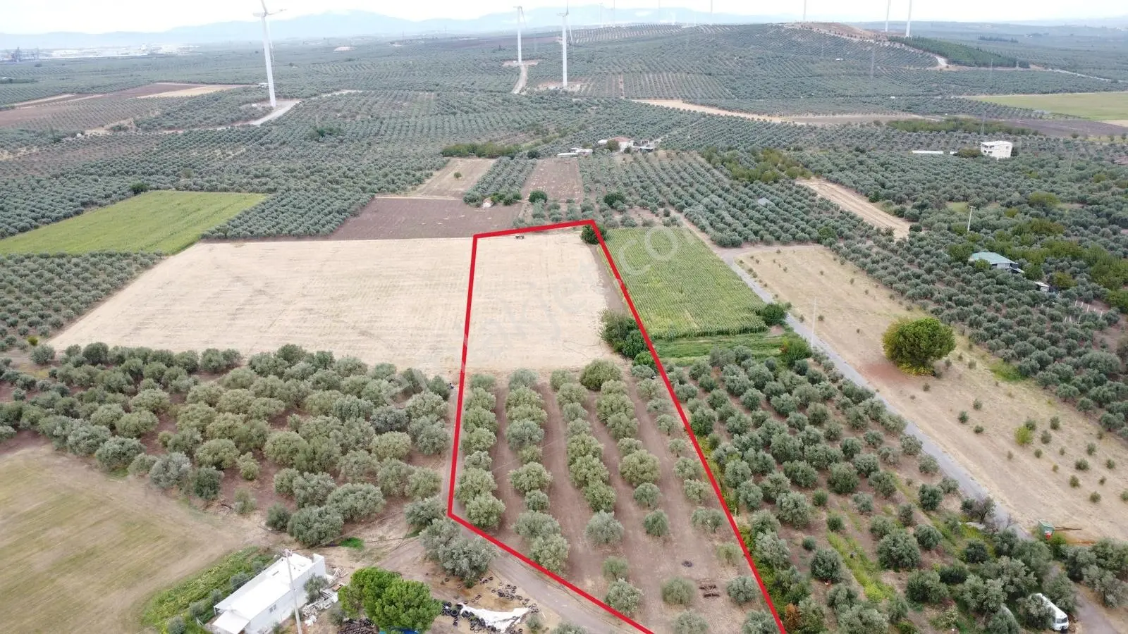 Akhisar Bekirler Mah.9490 M2 Satılık Tarla — fotoğraf 10