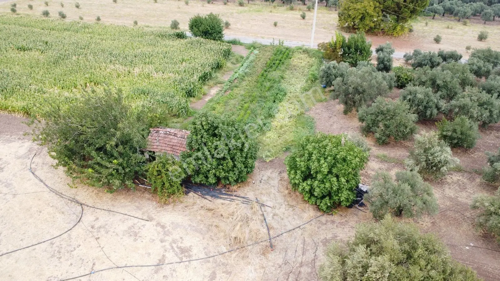 Akhisar Bekirler Mah.9490 M2 Satılık Tarla — fotoğraf 11