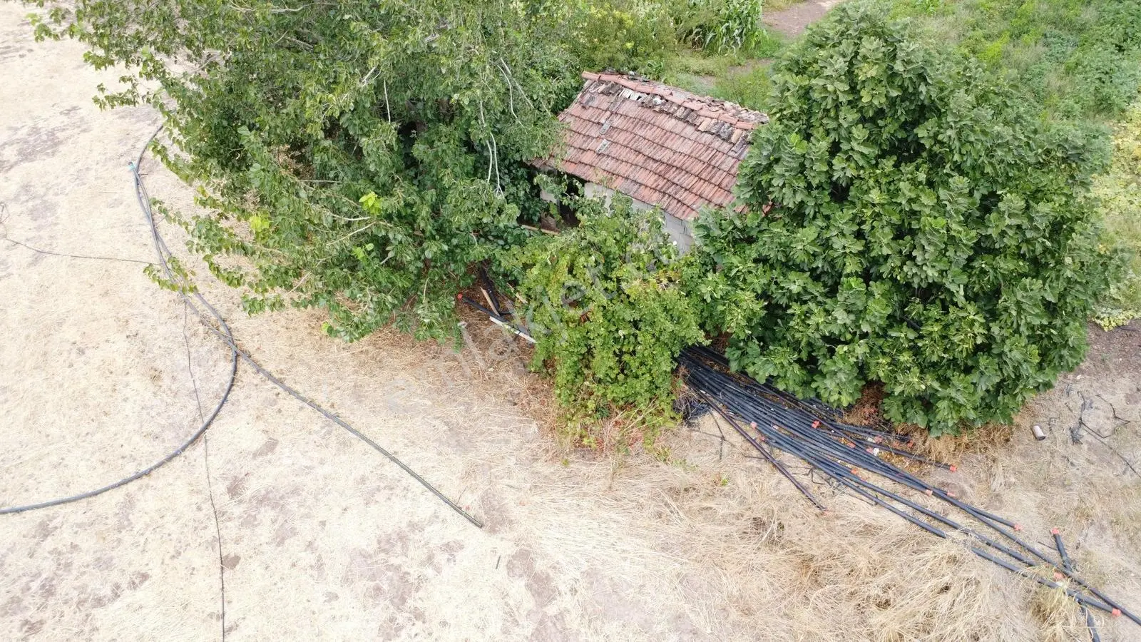 Akhisar Bekirler Mah.9490 M2 Satılık Tarla — fotoğraf 12
