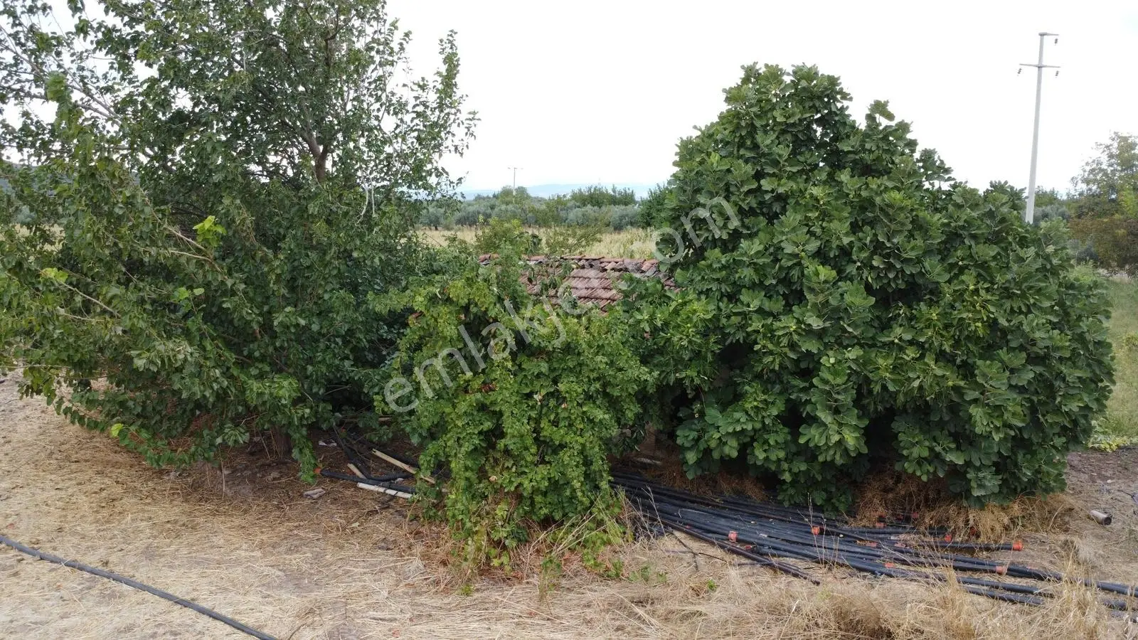 Akhisar Bekirler Mah.9490 M2 Satılık Tarla — fotoğraf 14
