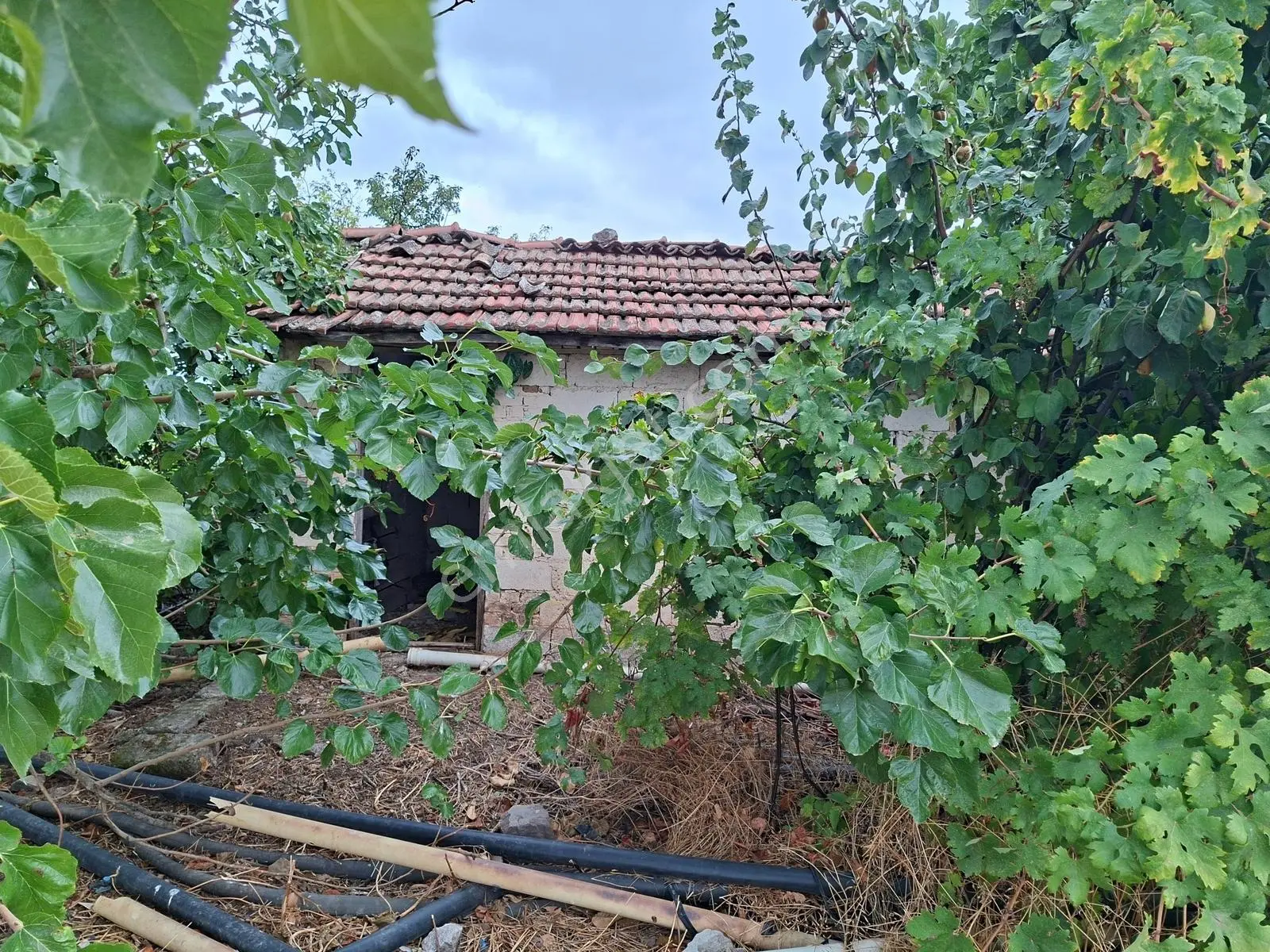 Akhisar Bekirler Mah.9490 M2 Satılık Tarla — fotoğraf 15