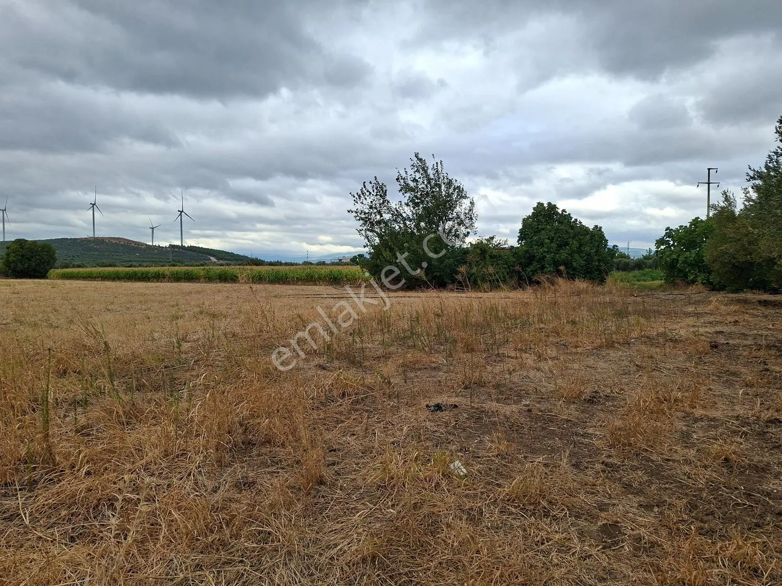 Akhisar Bekirler Mah.9490 M2 Satılık Tarla — fotoğraf 18