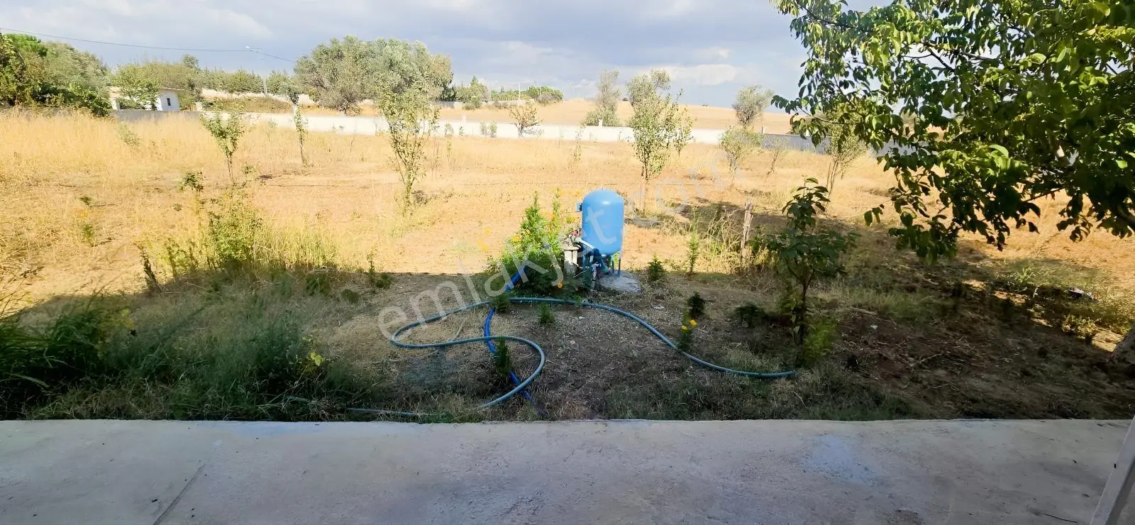 İzmir Menderes Dereköy De Elektirik Suyu Olan Satılık Bahçe — fotoğraf 2