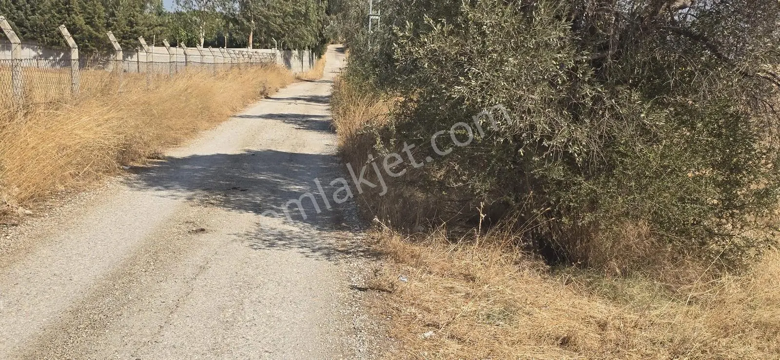 İzmir Menderes Dereköy De Elektirik Suyu Olan Satılık Bahçe — fotoğraf 3