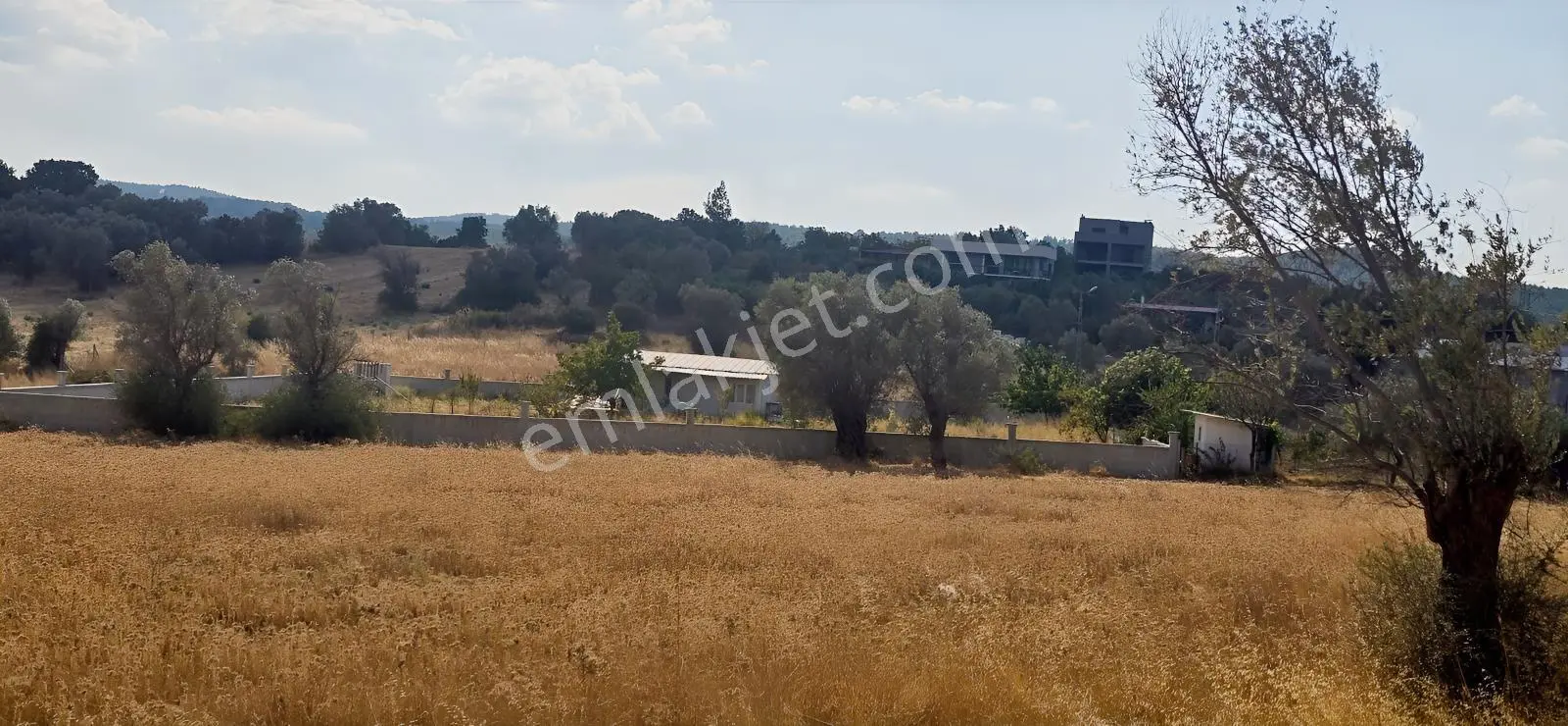 İzmir Menderes Dereköy De Elektirik Suyu Olan Satılık Bahçe — fotoğraf 6