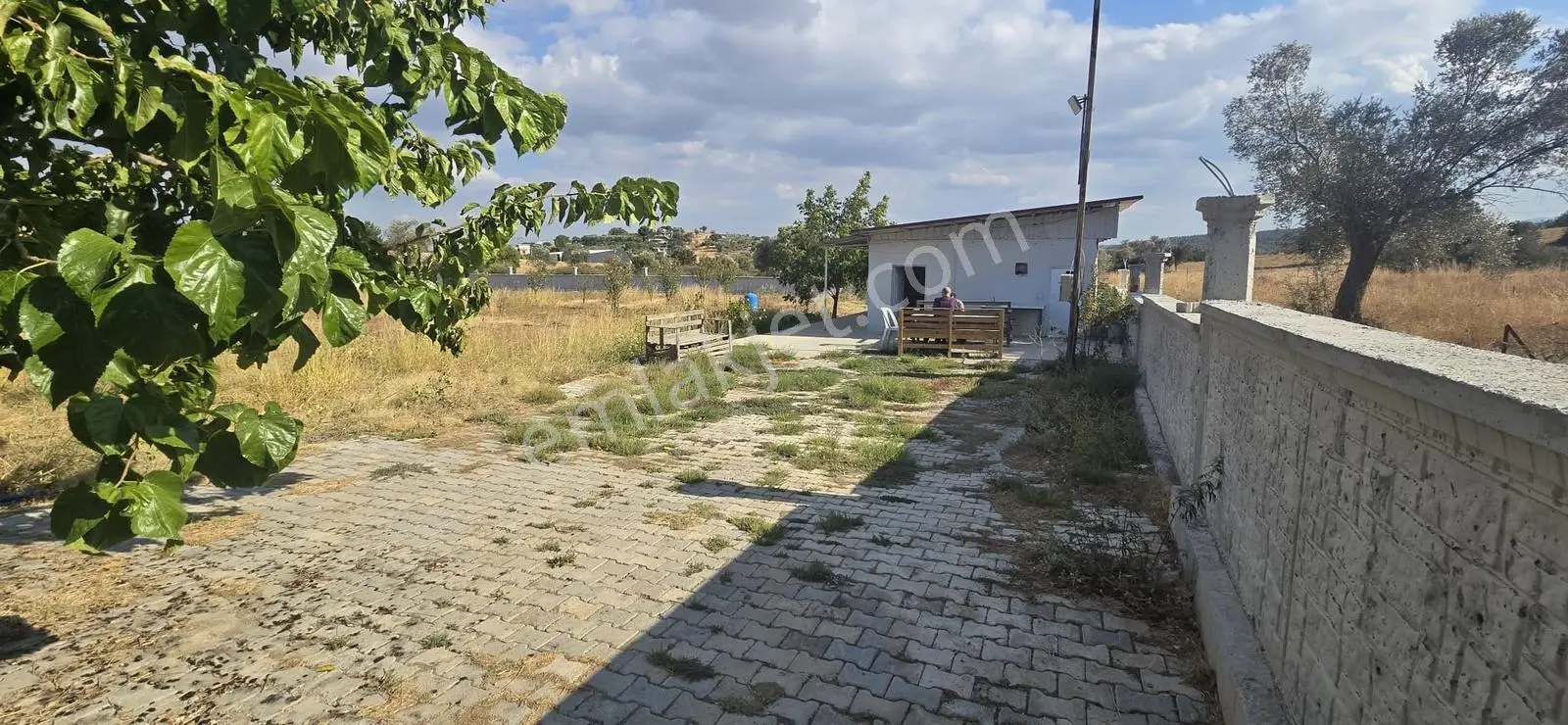 İzmir Menderes Dereköy De Elektirik Suyu Olan Satılık Bahçe — fotoğraf 18