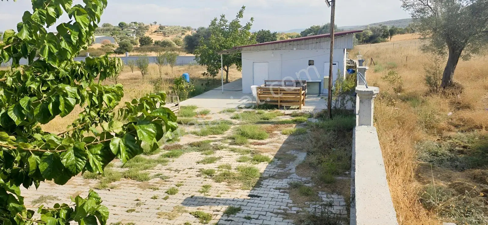 İzmir Menderes Dereköy De Elektirik Suyu Olan Satılık Bahçe — fotoğraf 20