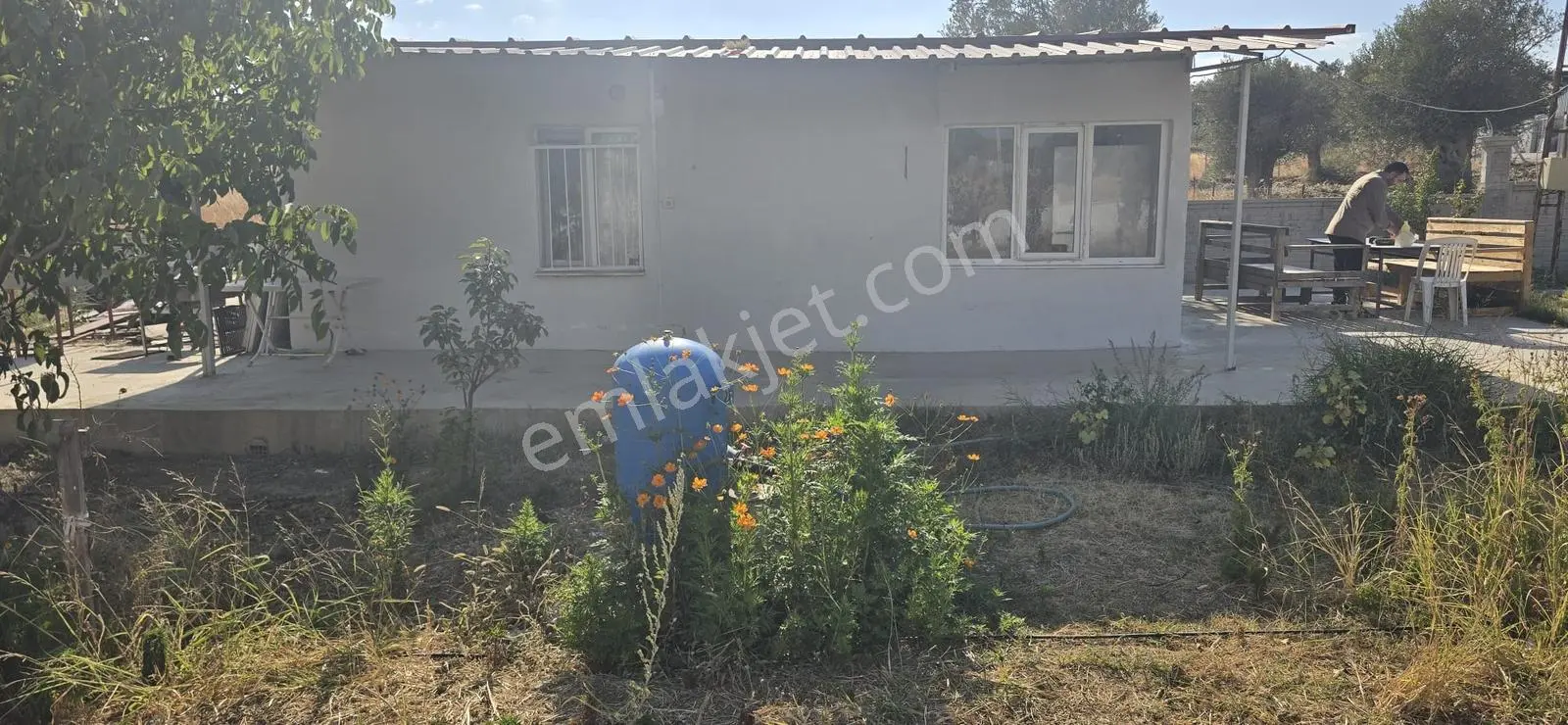 İzmir Menderes Dereköy De Elektirik Suyu Olan Satılık Bahçe — fotoğraf 22