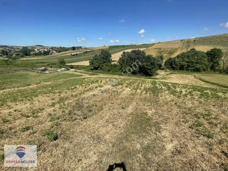 Derince Çavuşlu Resmi Yola Cephe 7.100 M2 Tek Tapu — fotoğraf 2