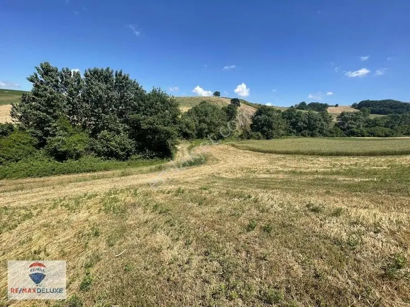 Derince Çavuşlu Resmi Yola Cephe 7.100 M2 Tek Tapu — fotoğraf 3