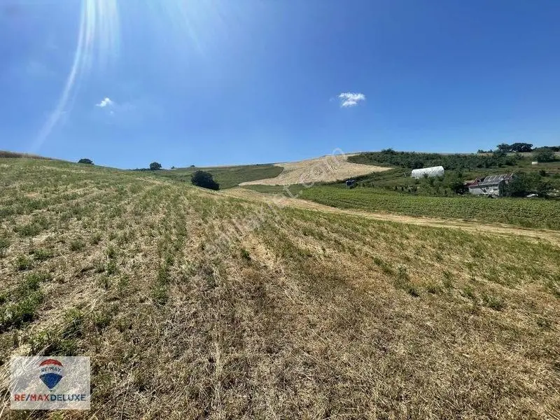 Derince Çavuşlu Resmi Yola Cephe 7.100 M2 Tek Tapu — fotoğraf 4