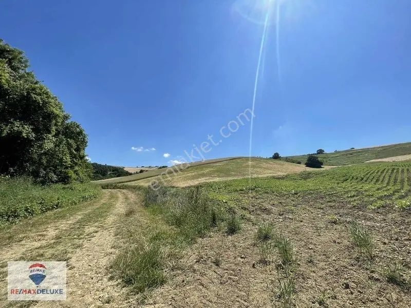 Derince Çavuşlu Resmi Yola Cephe 7.100 M2 Tek Tapu — fotoğraf 5