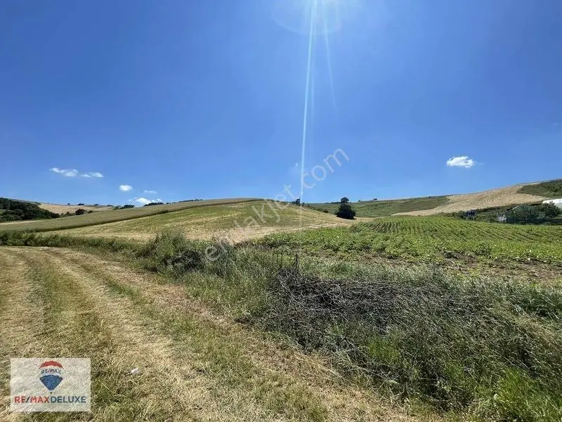 Derince Çavuşlu Resmi Yola Cephe 7.100 M2 Tek Tapu — fotoğraf 6