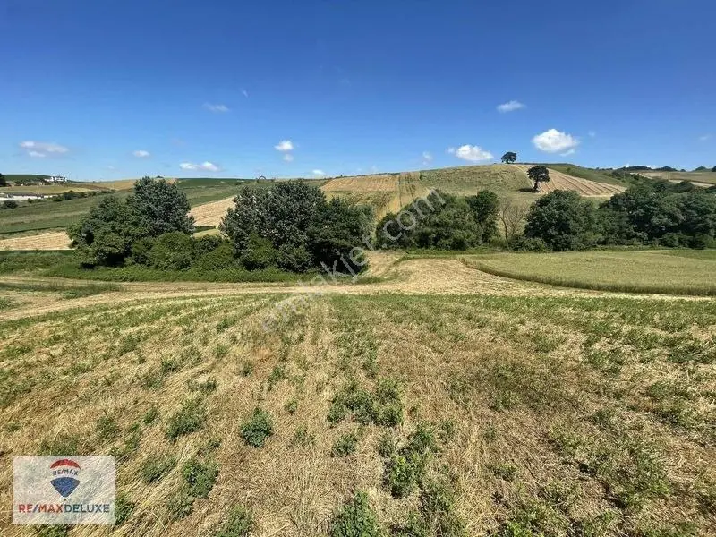 Derince Çavuşlu Resmi Yola Cephe 7.100 M2 Tek Tapu — fotoğraf 7