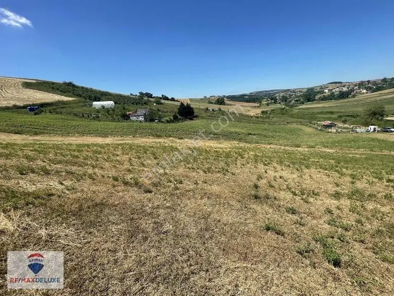 Derince Çavuşlu Resmi Yola Cephe 7.100 M2 Tek Tapu — fotoğraf 8