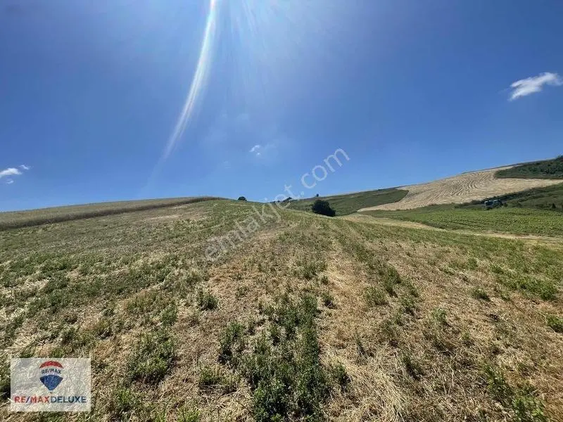 Derince Çavuşlu Resmi Yola Cephe 7.100 M2 Tek Tapu — fotoğraf 9