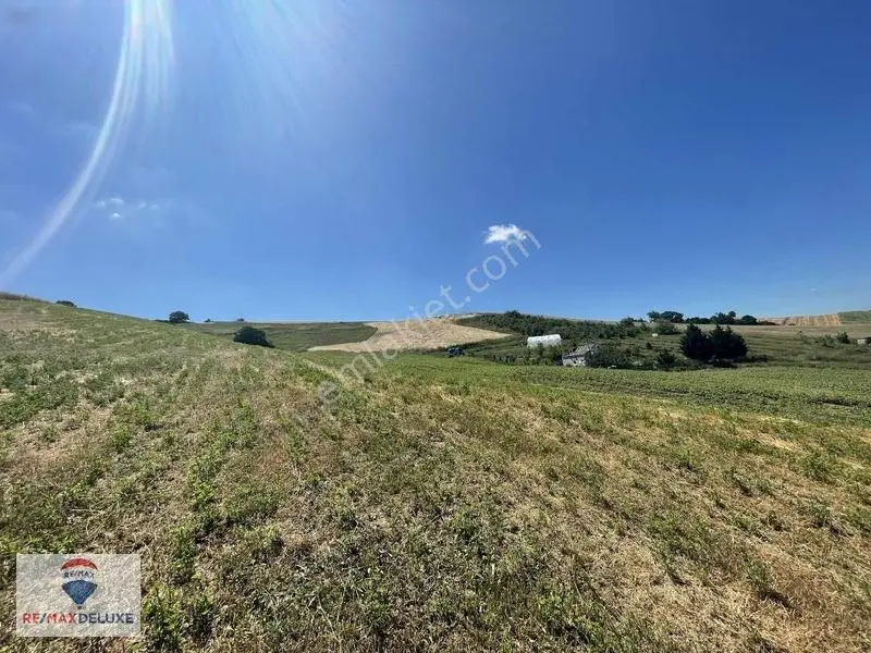 Derince Çavuşlu Resmi Yola Cephe 7.100 M2 Tek Tapu — fotoğraf 10