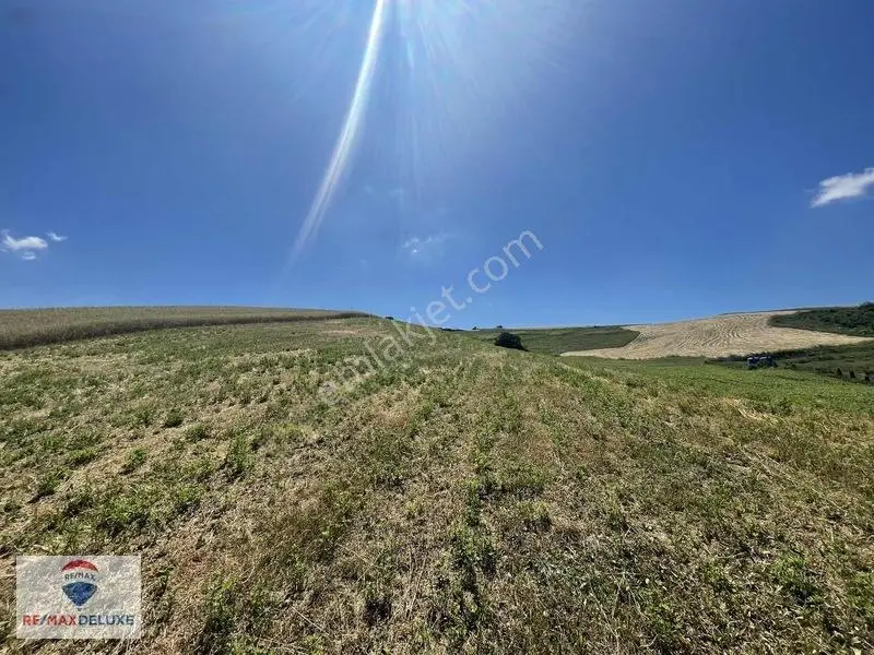 Derince Çavuşlu Resmi Yola Cephe 7.100 M2 Tek Tapu — fotoğraf 11