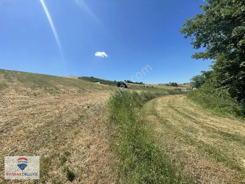 Derince Çavuşlu Resmi Yola Cephe 7.100 M2 Tek Tapu — fotoğraf 12