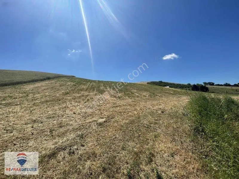 Derince Çavuşlu Resmi Yola Cephe 7.100 M2 Tek Tapu — fotoğraf 13