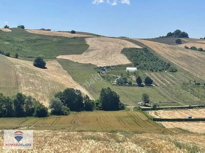 Derince Çavuşlu Resmi Yola Cephe 7.100 M2 Tek Tapu — fotoğraf 14