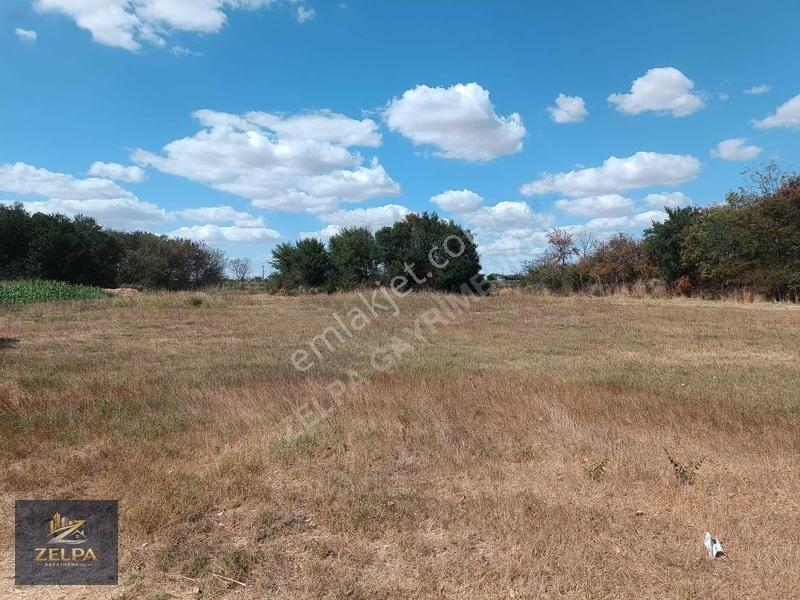 Kırklareli Babaeski Büyükmandıra Paşa Da Satılık Tarla 8.000 M² — fotoğraf 3