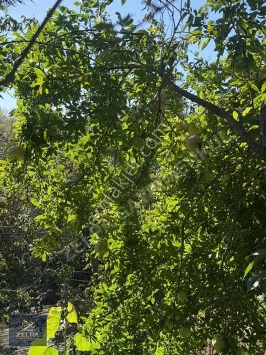 Eyüpsultan Pirinççide İçinde Müstakil Ev Bulunan 473 M² Satılık — fotoğraf 32