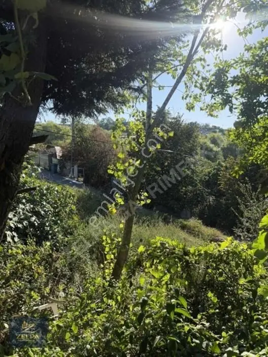 Eyüpsultan Pirinççide İçinde Müstakil Ev Bulunan 473 M² Satılık — fotoğraf 34