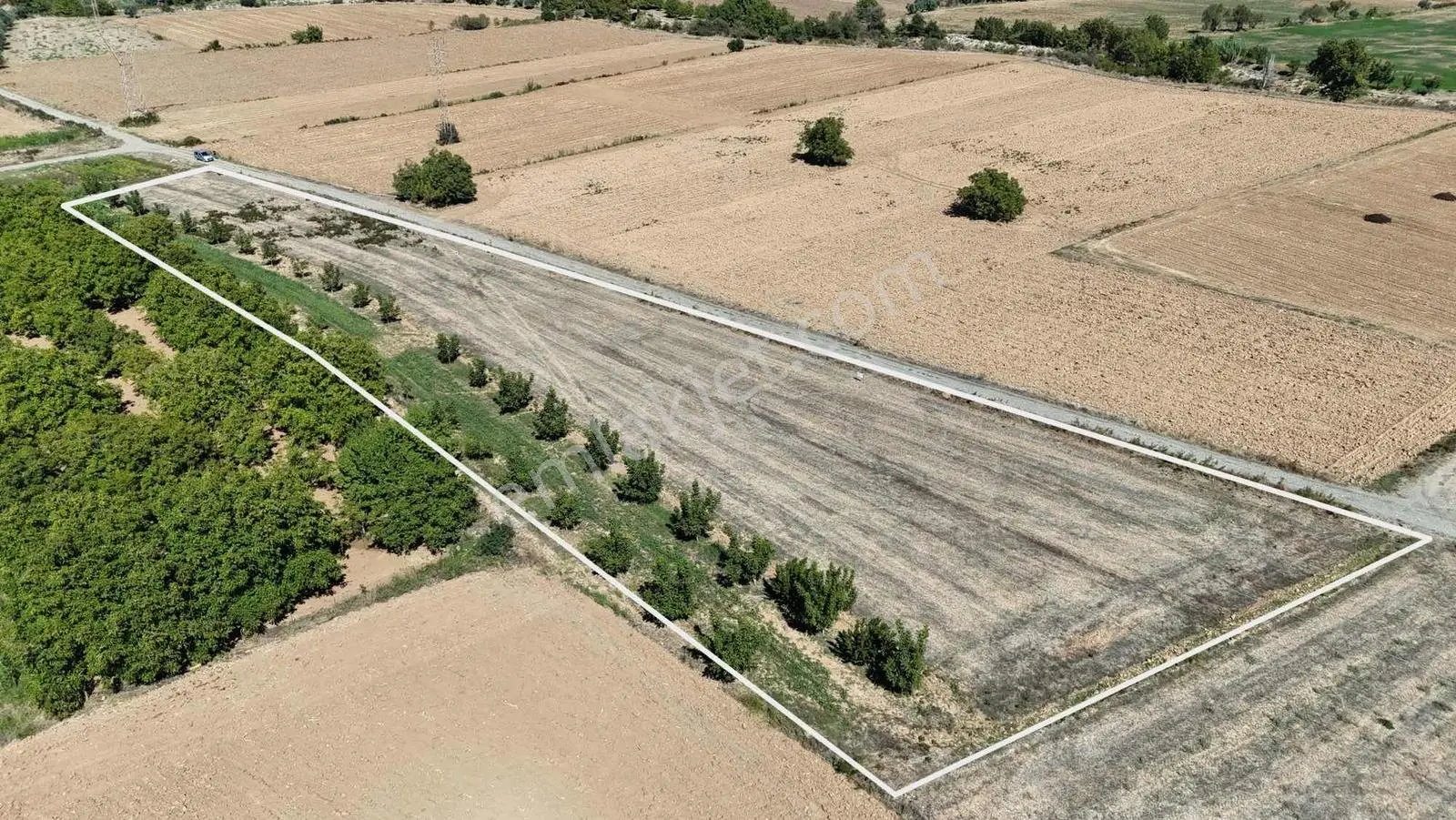Gökpınarda 7.098 M² Tek Tapu, Sulu Ceviz Bahçesi — fotoğraf 2