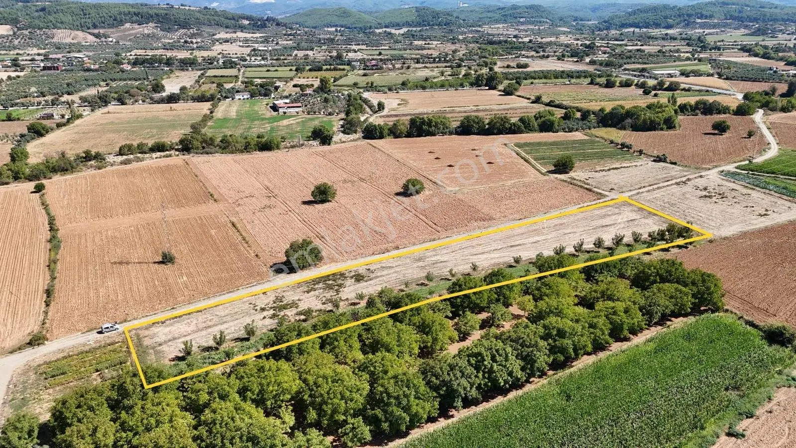 Gökpınarda 7.098 M² Tek Tapu, Sulu Ceviz Bahçesi — fotoğraf 3