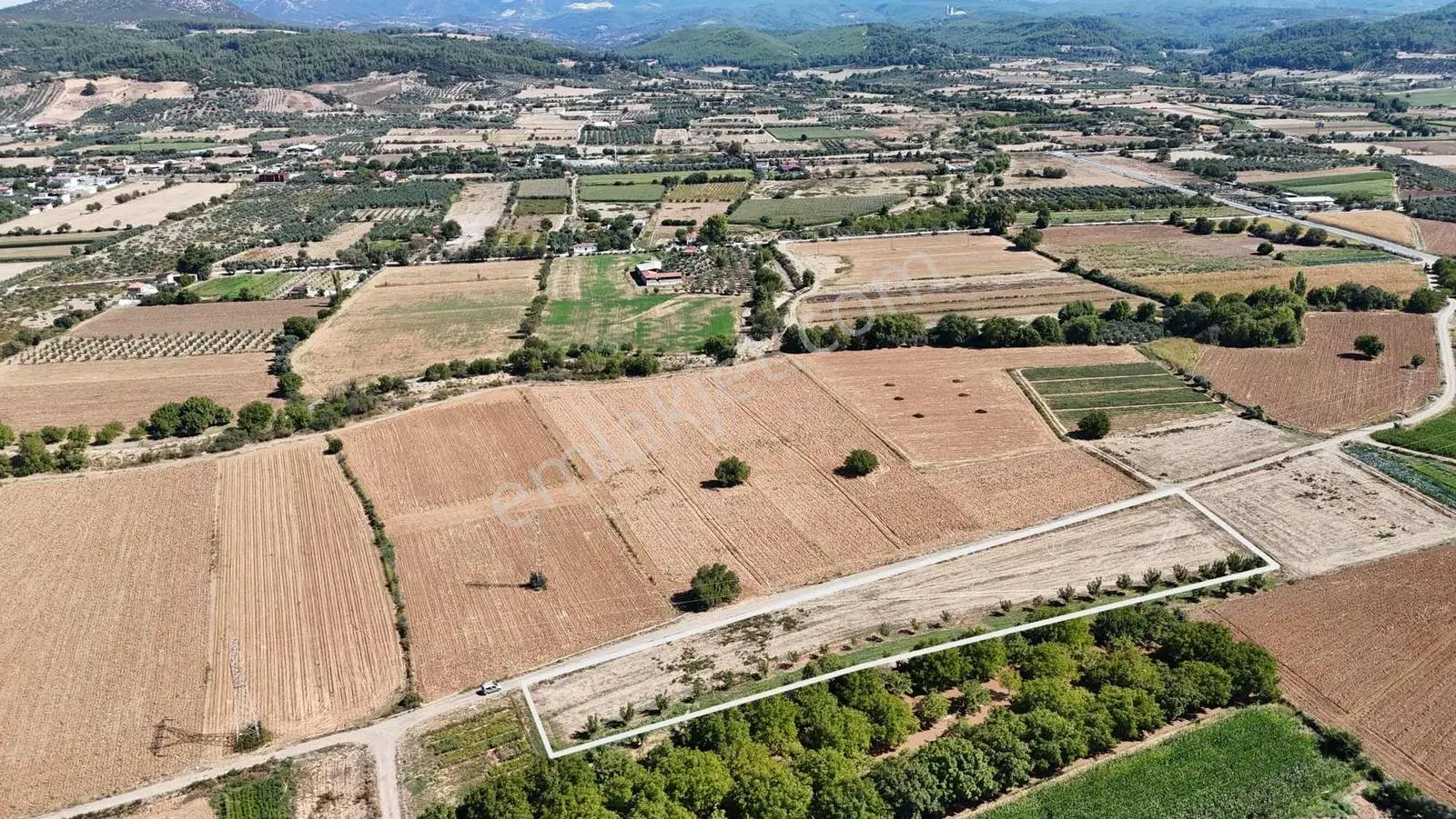 Gökpınarda 7.098 M² Tek Tapu, Sulu Ceviz Bahçesi — fotoğraf 4