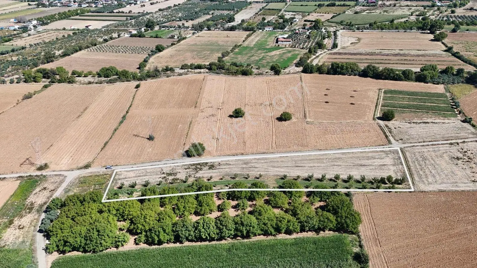 Gökpınarda 7.098 M² Tek Tapu, Sulu Ceviz Bahçesi — fotoğraf 5