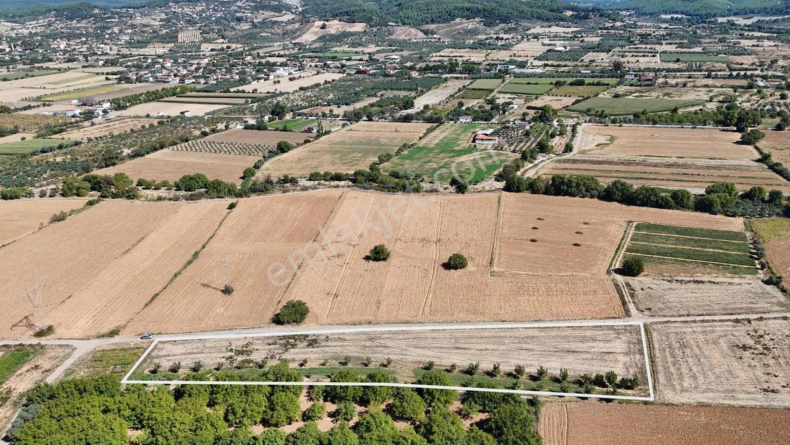 Gökpınarda 7.098 M² Tek Tapu, Sulu Ceviz Bahçesi — fotoğraf 6