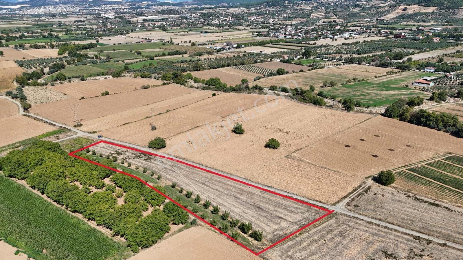 Gökpınarda 7.098 M² Tek Tapu, Sulu Ceviz Bahçesi — fotoğraf 7