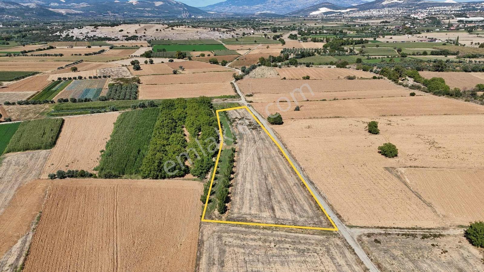 Gökpınarda 7.098 M² Tek Tapu, Sulu Ceviz Bahçesi — fotoğraf 9