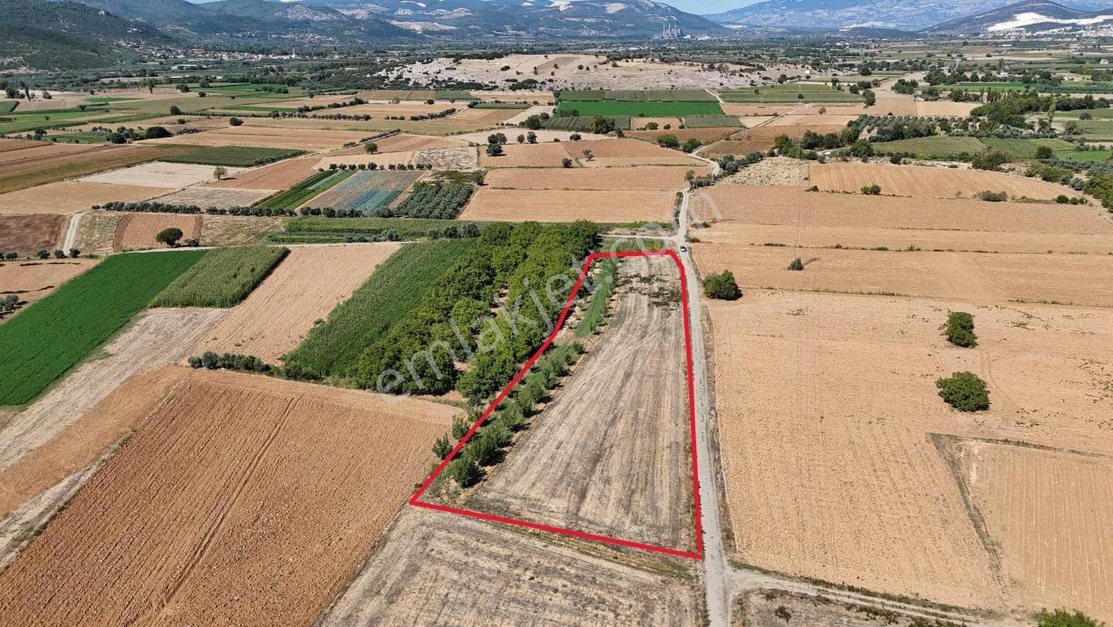 Gökpınarda 7.098 M² Tek Tapu, Sulu Ceviz Bahçesi — fotoğraf 10